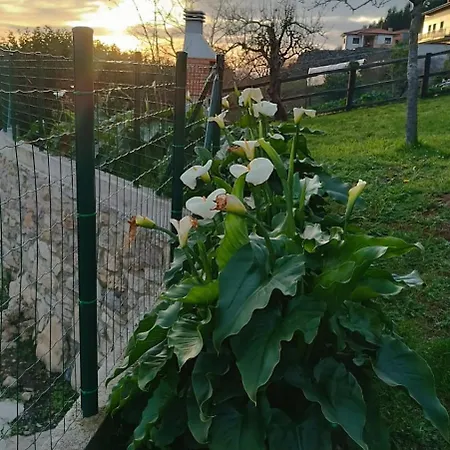 Apartment Rurales Sariar Villar (Siero)