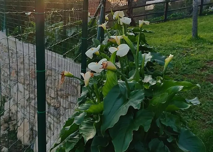 Appartement Rurales Sariar Villar (Siero)